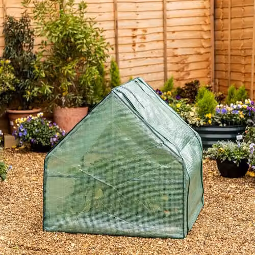 Garden Gear Compact Apex Cloche Plant Protector with Vent Windows in Green – 3
