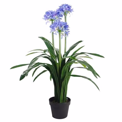Leaf Premium Artificial Blue Agapanthus with Pot, Height: 90 cm