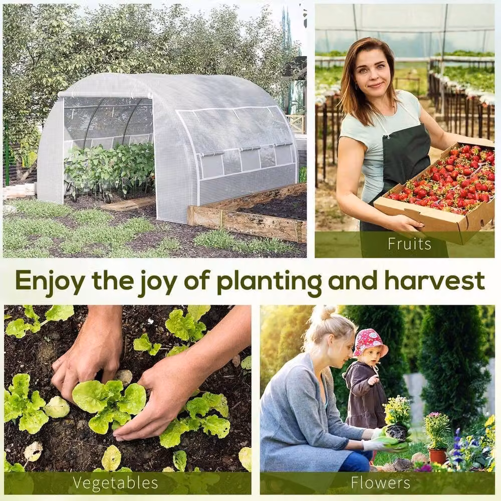 NESTLUNE White Polytunnel Greenhouse with Roller Window and Galvanised Steel Frame, W/D/H: 300 x 300 x 200 cm – 2