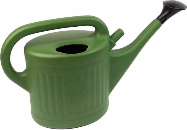 SPETLEK Green Indoor Watering Can with Detachable Rose Head, 10 Litre – 1