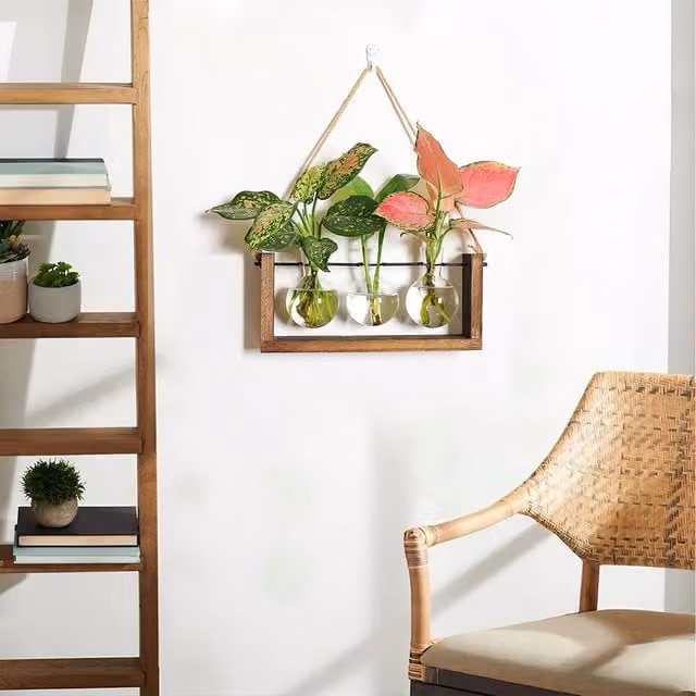 Lifeideas 3-Piece Round Glass Bulb Vases with Wooden Wall Hanging Stand in Transparent and Brown