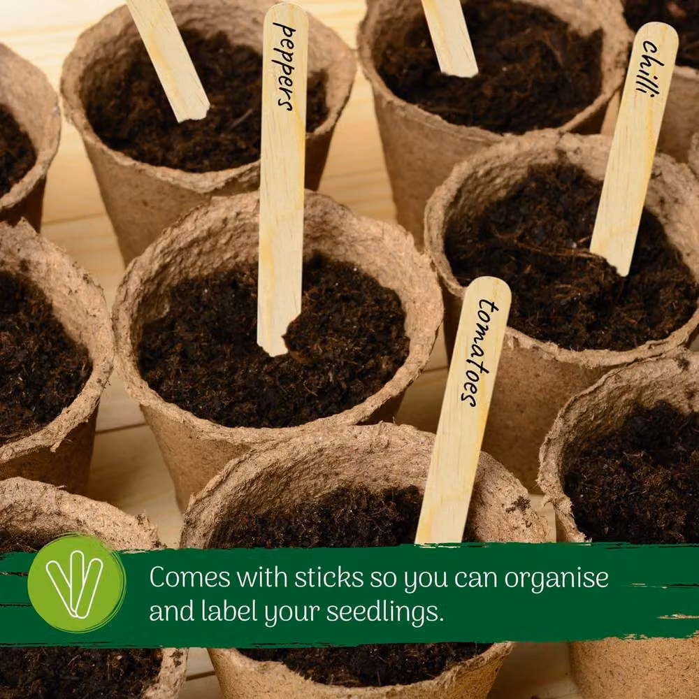 Green Thumbz 100 Pack Biodegradable Seedling Pots for Herbs and Flowers, Brown, 8cm – 4