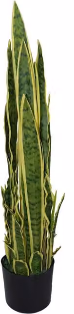 Large Artificial Sansevieria Tropical Snake Plant in Yellow and Green, Potted and Freestanding, H 90 cm x W 17 cm x D 17 cm – 2