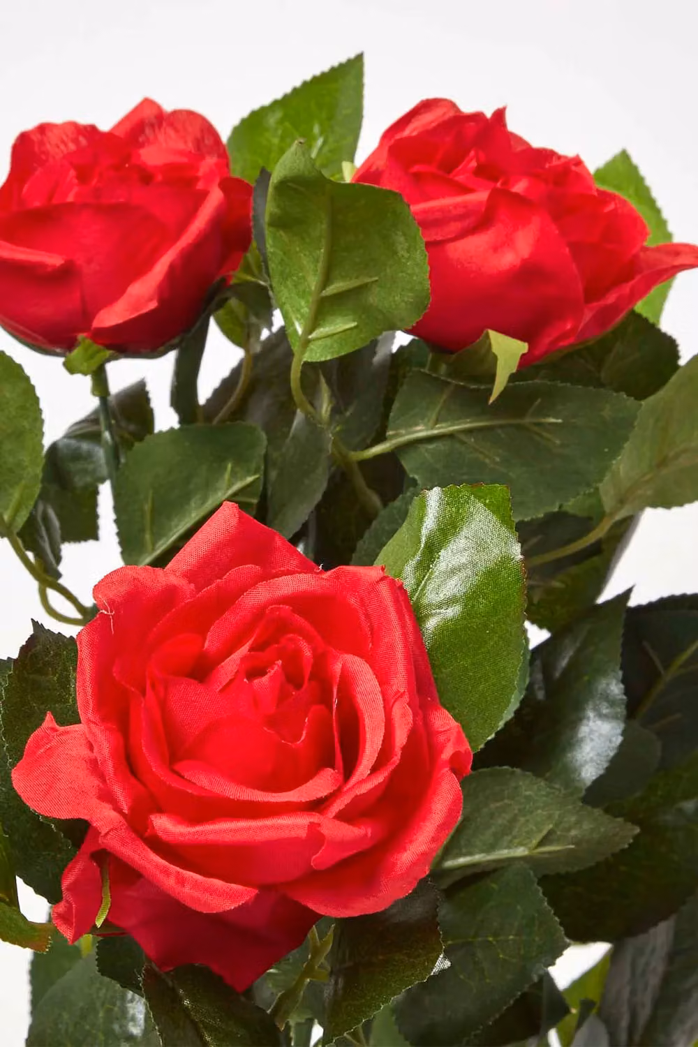 Homescapes Artificial Red Rose Tree with Green Leaves, Height: 90 cm – 3