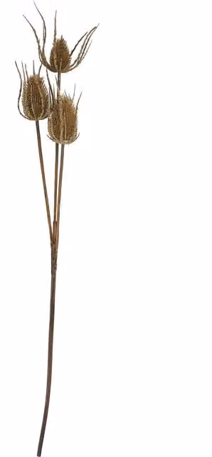 Hill Interiors Triple Teasel Artificial Flower in Brown – 1