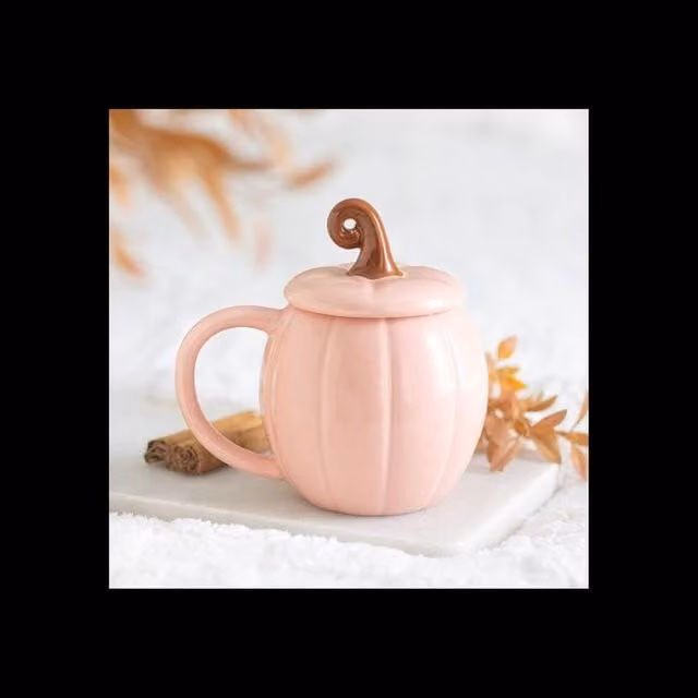 KDMD Pink Curly Pumpkin Lidded Mug in Dusty Pink