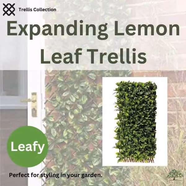 Marco Paul Artificial Lemon Leaf Wall Trellis Hedge in Green, W/H: 90 x 180 cm – 4