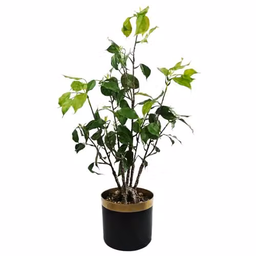 Leaf Green Artificial Bonsai Tabletop Tree H 60 cm x W 30 cm x D 30 cm – 1