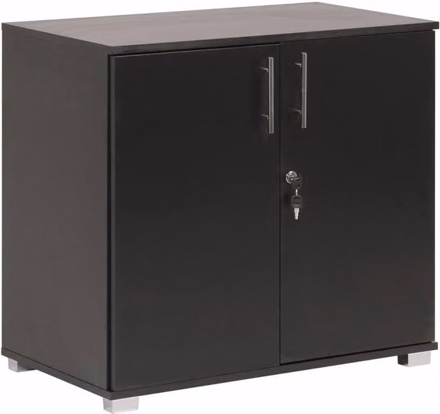 PAWNORA Black Metal Lockable 2 Door Storage Cabinet for Home and Office, W: 100 cm, D: 15 cm