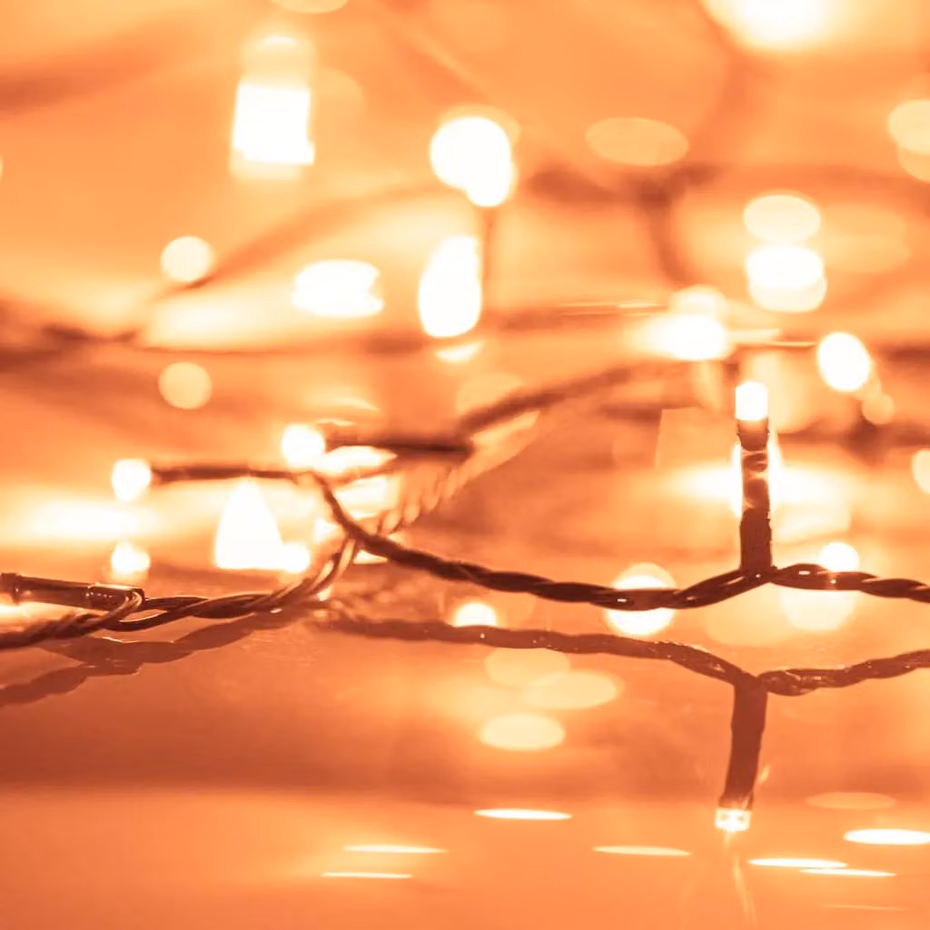 Berkfield Home Warm White LED String Light with 300 LEDs, 30 m, PVC – 3