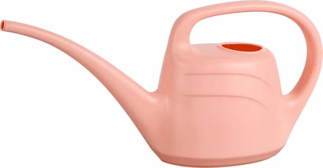 Green Wash Pink Long Spout Indoor Eden Plastic Watering Can for Indoor Plants