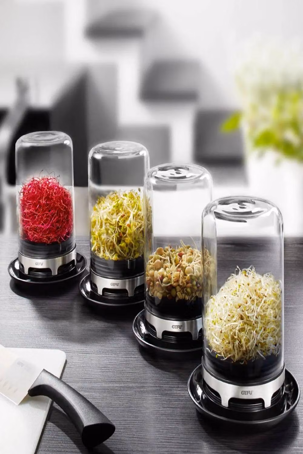 Gefu Bivita Sprouting Jar Mini Greenhouse with Glass Dome and Stainless Steel Base in Transparent and Silver – 3