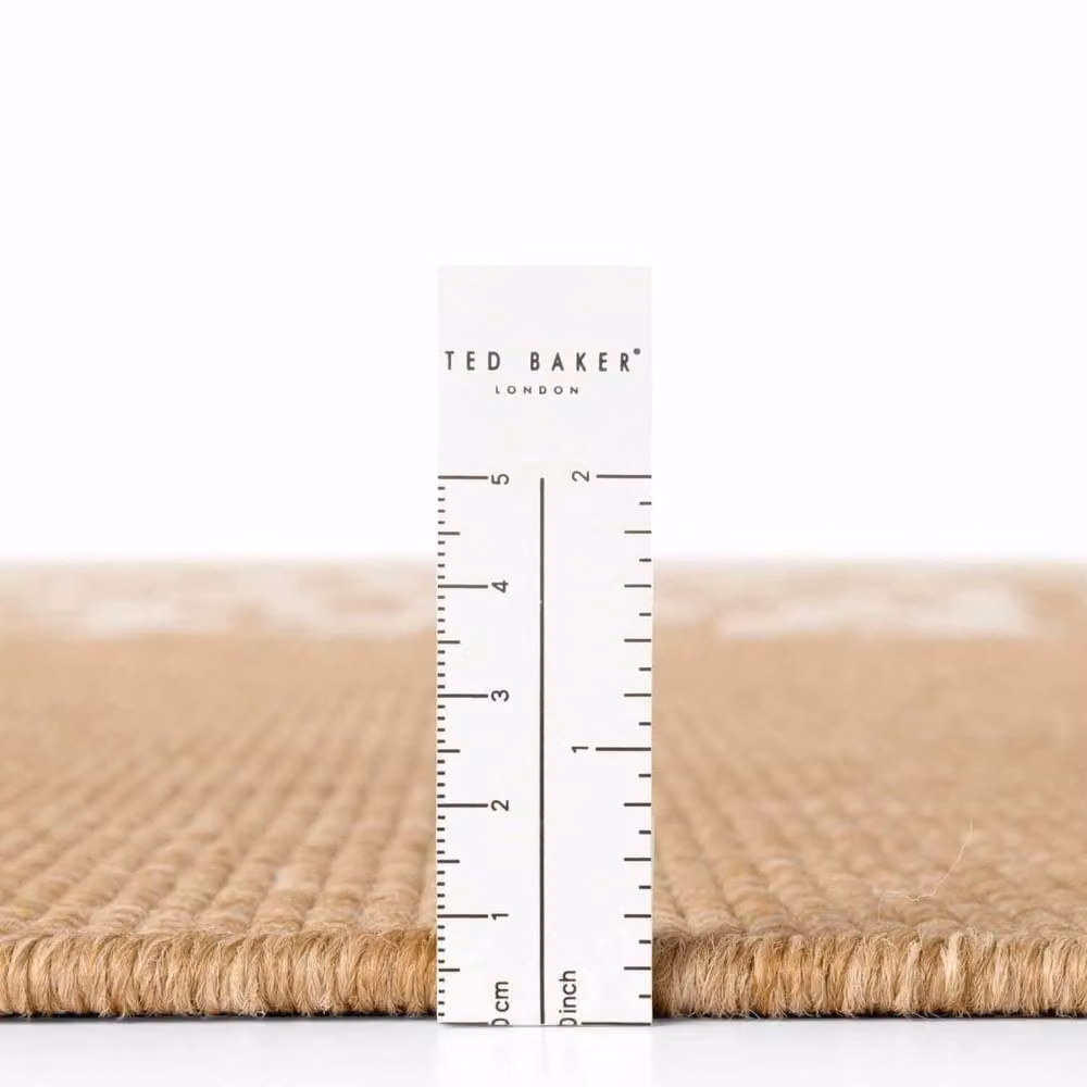 Ted Baker Acacia Reversible Geometric Indoor and Outdoor Rug in Beige, W: 160 cm, L: 230 cm – 5