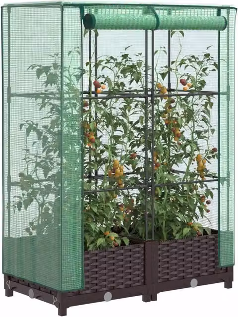 Berkfield Home Raised Bed with Greenhouse Cover in Brown Rattan Look, W/D/H: 80 x 40 x 123 cm – 1