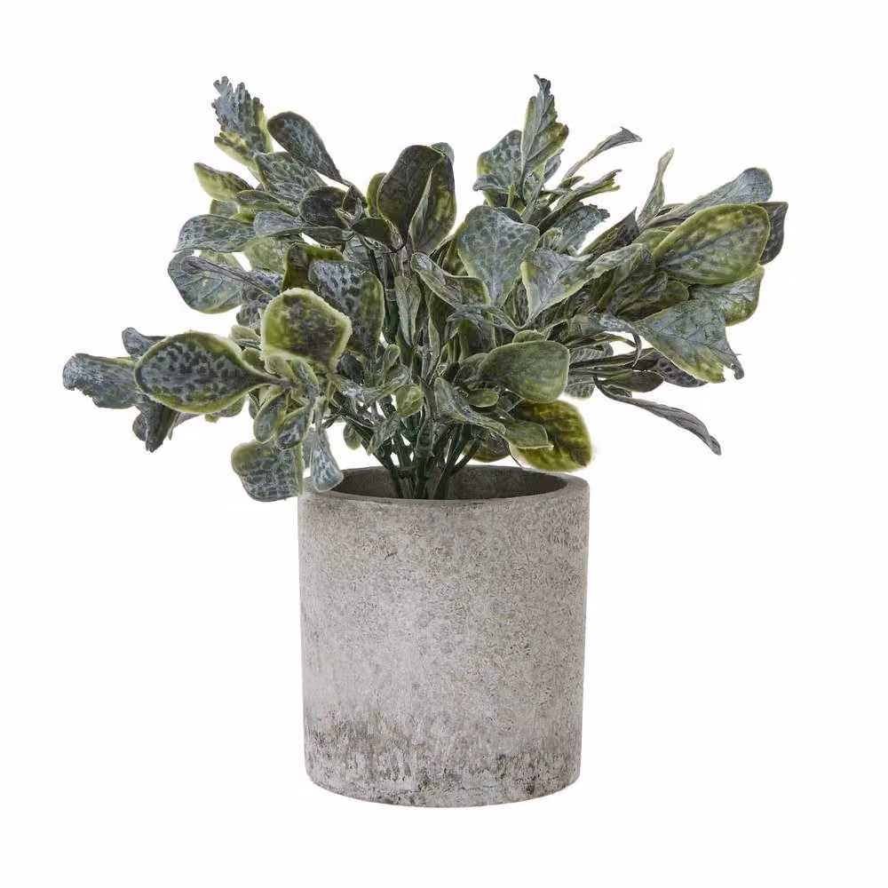 Wyld Haus Small Artificial Giana Eucalyptus Plant in a Green and Grey Ceramic Pot – 2