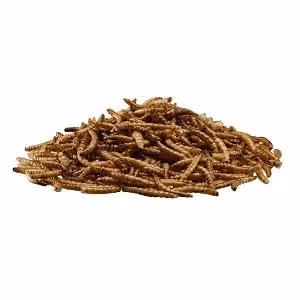 Happy Beaks Dried Calciworms Bird Feed, High Protein and Calcium Mealworm for Wild Birds, 500 g