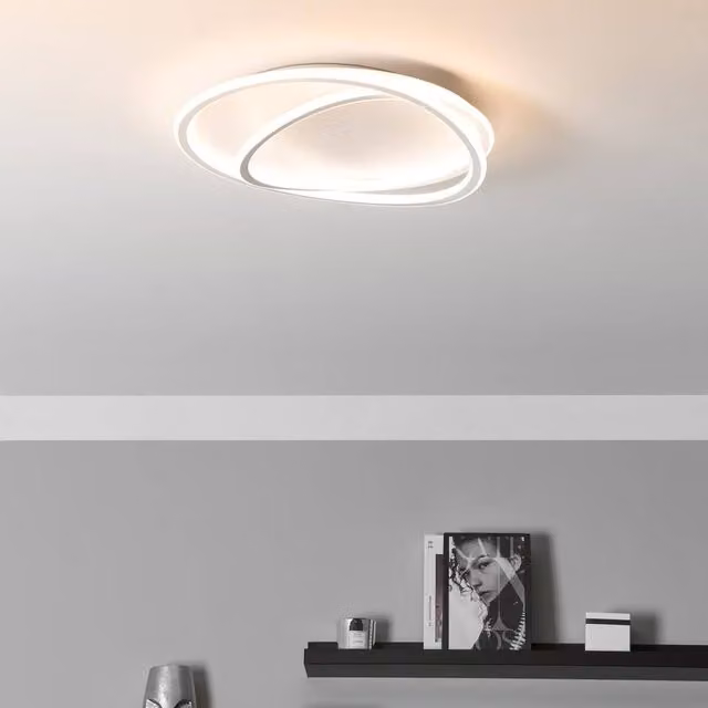 Wyld and Coco Round Dimmable LED Ceiling Lamp with White Acrylic Shade – 1