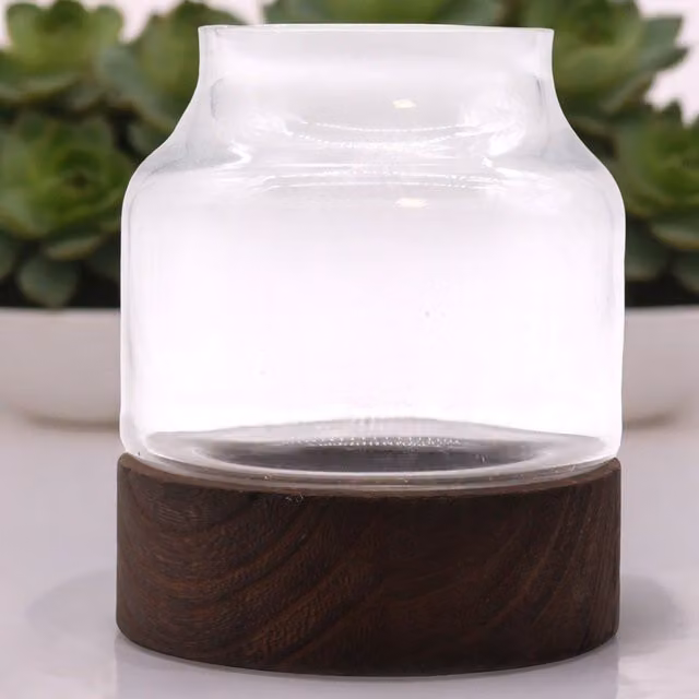 KDMD Medium Shaped Glass Terrarium on Dark Tung Wood in Brown – 1