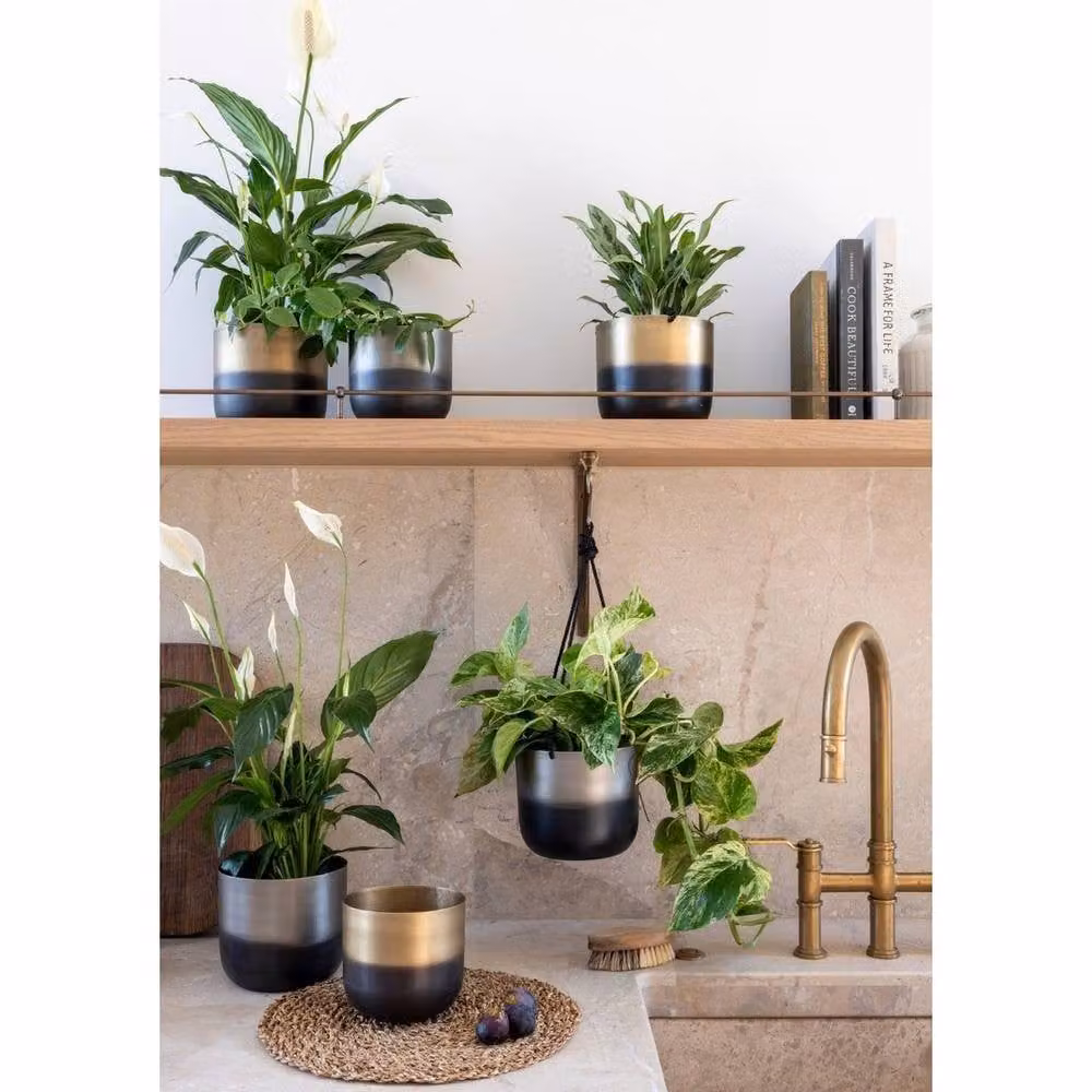 Ivyline Oscar Hanging Planter Set of 2 Metal Square W/D/H: 16.5 x 16.5 x 61 cm – 2