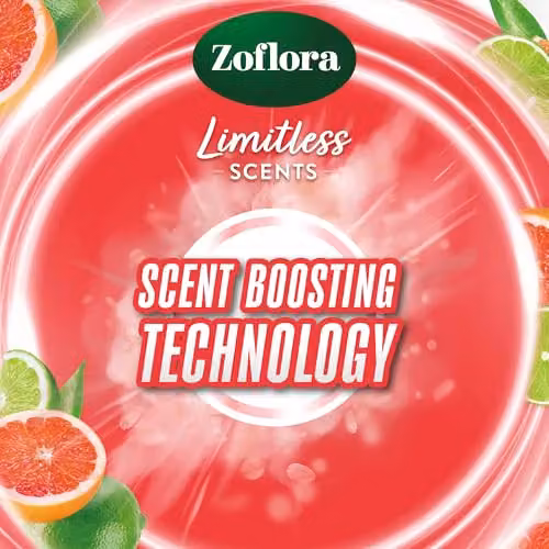 Zoflora Rim Blocks Grapefruit & Lime, 2 x 131g Pack – 2