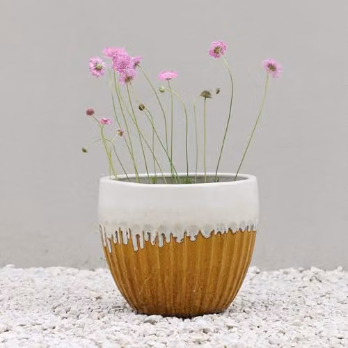 Primrose Ribbed Textured Glazed Round Clay Patio Planter in Two Tone Yellow and Brown, Diameter: 30 cm