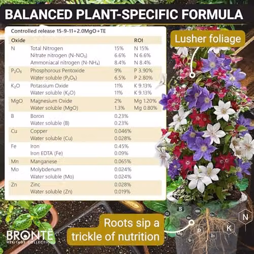 Bronte Heritage Clematis Feed Controlled-Release Granules for Climbers, 120g – 6