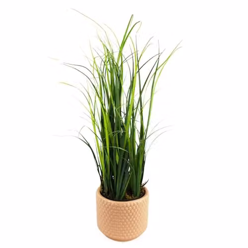 Leaf Design UK Artificial Grass Plant in a Pink Dotted Ceramic Planter, Height: 60 cm, W/D/H: 15 x 15 x 15 cm