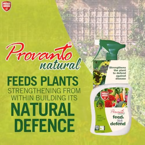 Phostrogen Biological Fungicide Spray for Vegetable and Ornamental Gardens, 1 l – 2