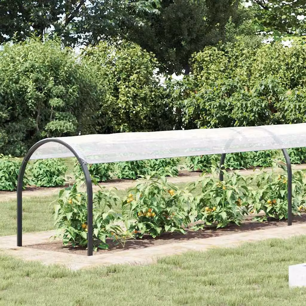 Berkfield Home Transparent Polyethylene Plant Cover with Eyelets for Winter Protection, W: 1 m, L: 6 m – 2