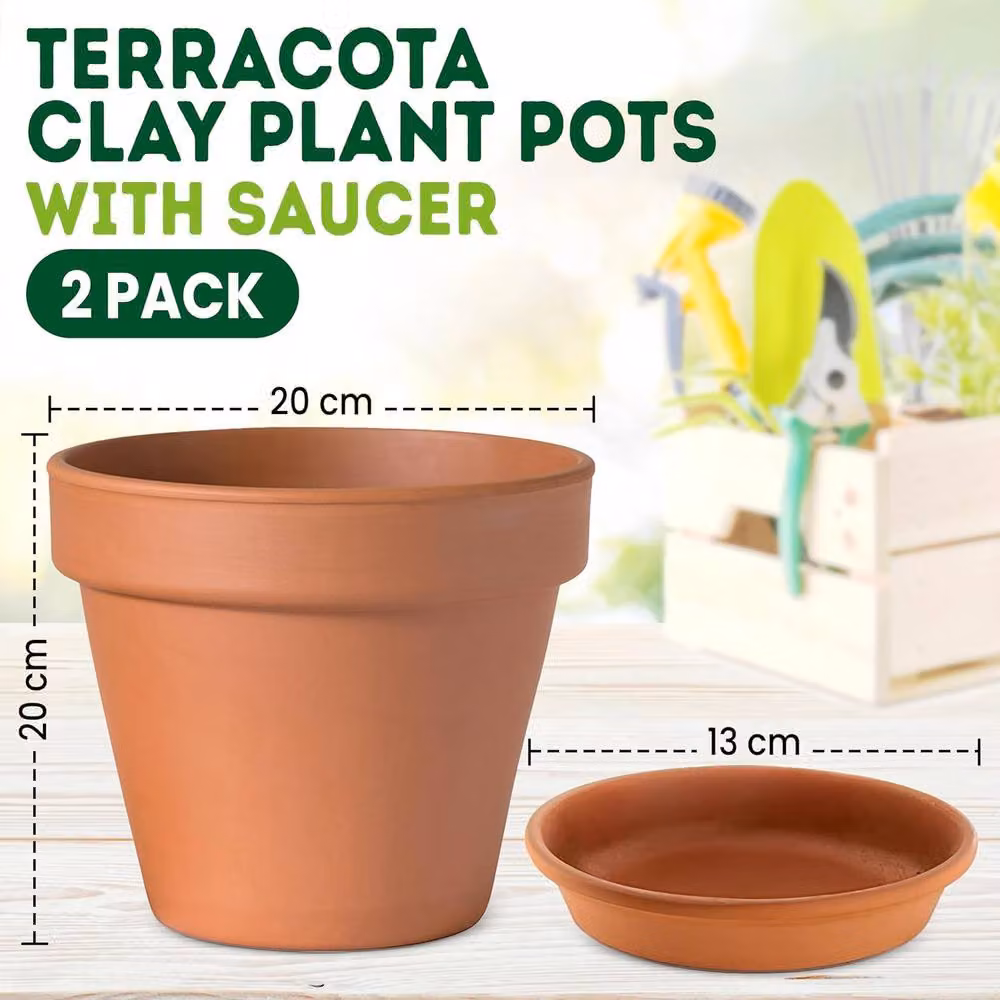 Green Thumbz Pack of 2 Brown Terracotta Clay Plant Pots with Saucer, Diameter: 20 cm – 2