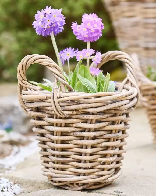 Dibor Traditional Lined XXS Wicker Planter Basket with Handles in Grey and Brown