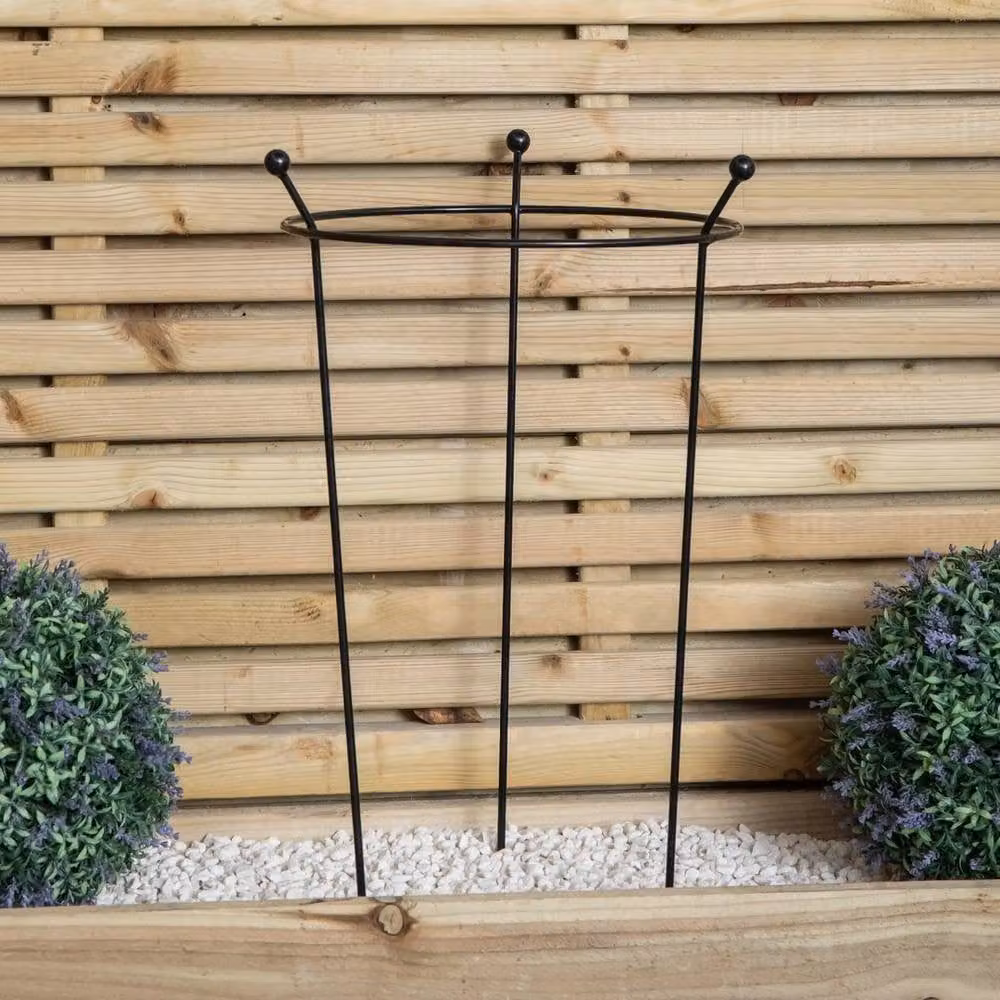 NESTLUNE 6 Pack of Black Steel Plant Stakes for Herb and Ornamental Gardens, H: 60 cm, W: 15 cm, D: 100 cm – 2