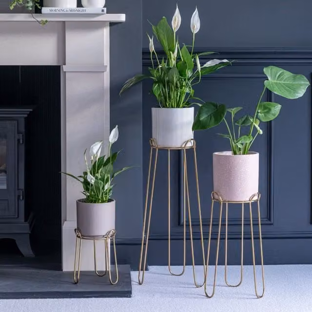 Ivyline Modern Round Metal and Ceramic Tabletop Plant Stand, Gold or Black, H: 23 cm, D: 18 cm