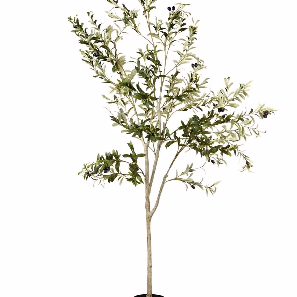 Wyld and Coco 178 cm Green Artificial Mediterranean Potted Olive Tree in Concrete Pot – 2