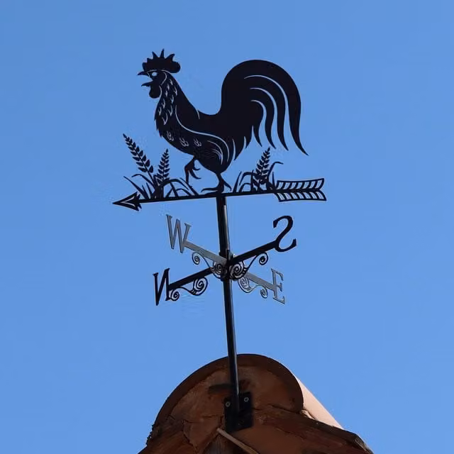 Betley Butterfly Black Metal Cockerel Silhouette Weathervane Garden Ornament