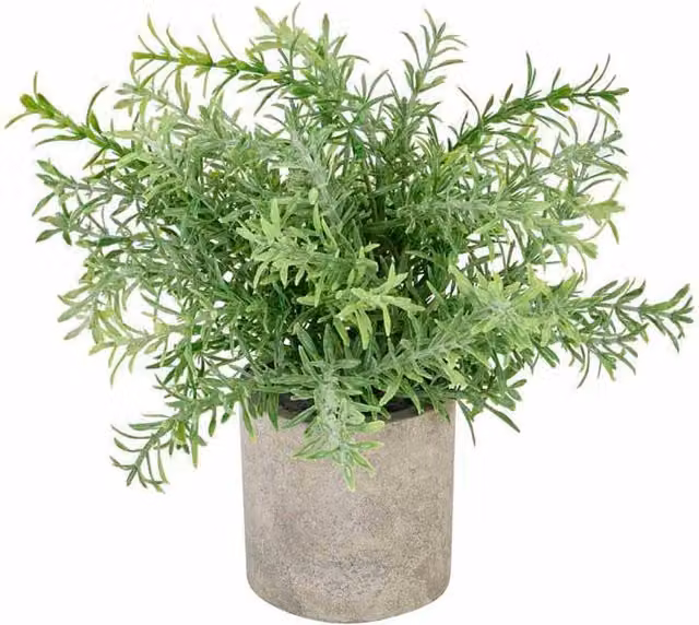 Lemon Pavilion Artificial Rosemary Plant in Green Stone Effect Pot, W/D/H: 24 x 24 x 24 cm