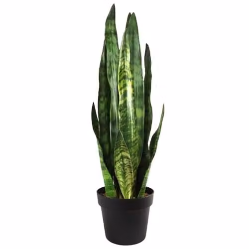 Botanik Green Potted Artificial Office Plant in Black Tabletop Pot