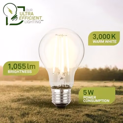 Briloner Set of 2 Warm White LED Filament Light Bulbs, E27, 5W, 3000K – 3