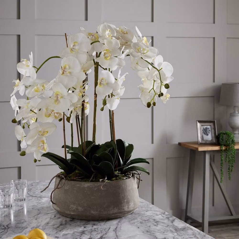Wyld Haus Large White Artificial Orchid in a Round Textured Stone Pot – 3