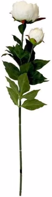 KDMD White Peony Artificial Flowers, Height: 78 cm