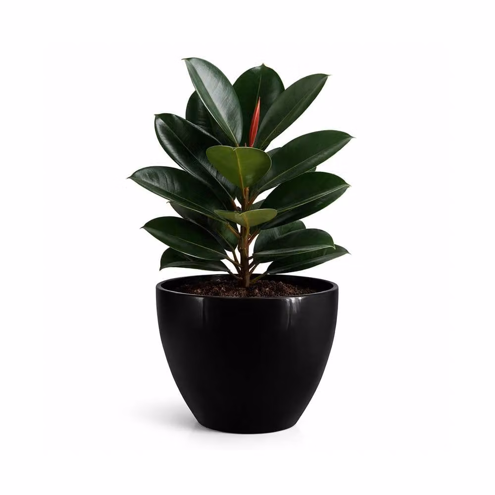 Simpa Avant-Garde Gloss Plastic Planter Set of 2 in Black – 1