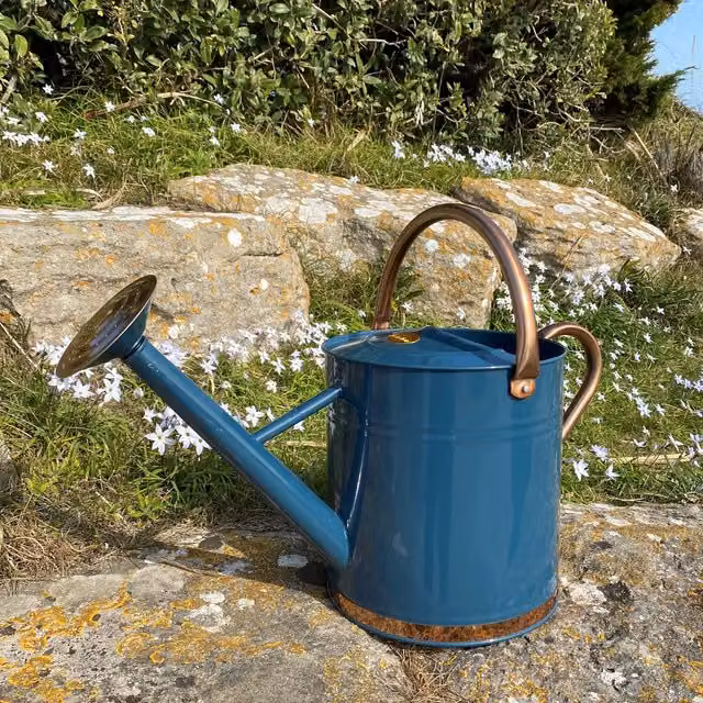 Selections Classic 9 Litre Galvanised Steel Metal Watering Can with Rose in Blue