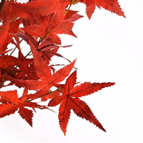 Leaf Design UK 120cm Artificial Red Autumn Maple Tree – 2