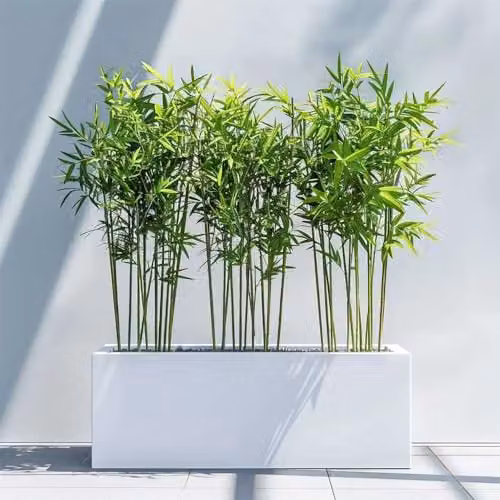 Access Garden Products Matte White Galvanised Steel Trough Planter W: 75 cm, D: 32 cm, H: 32 cm – 10