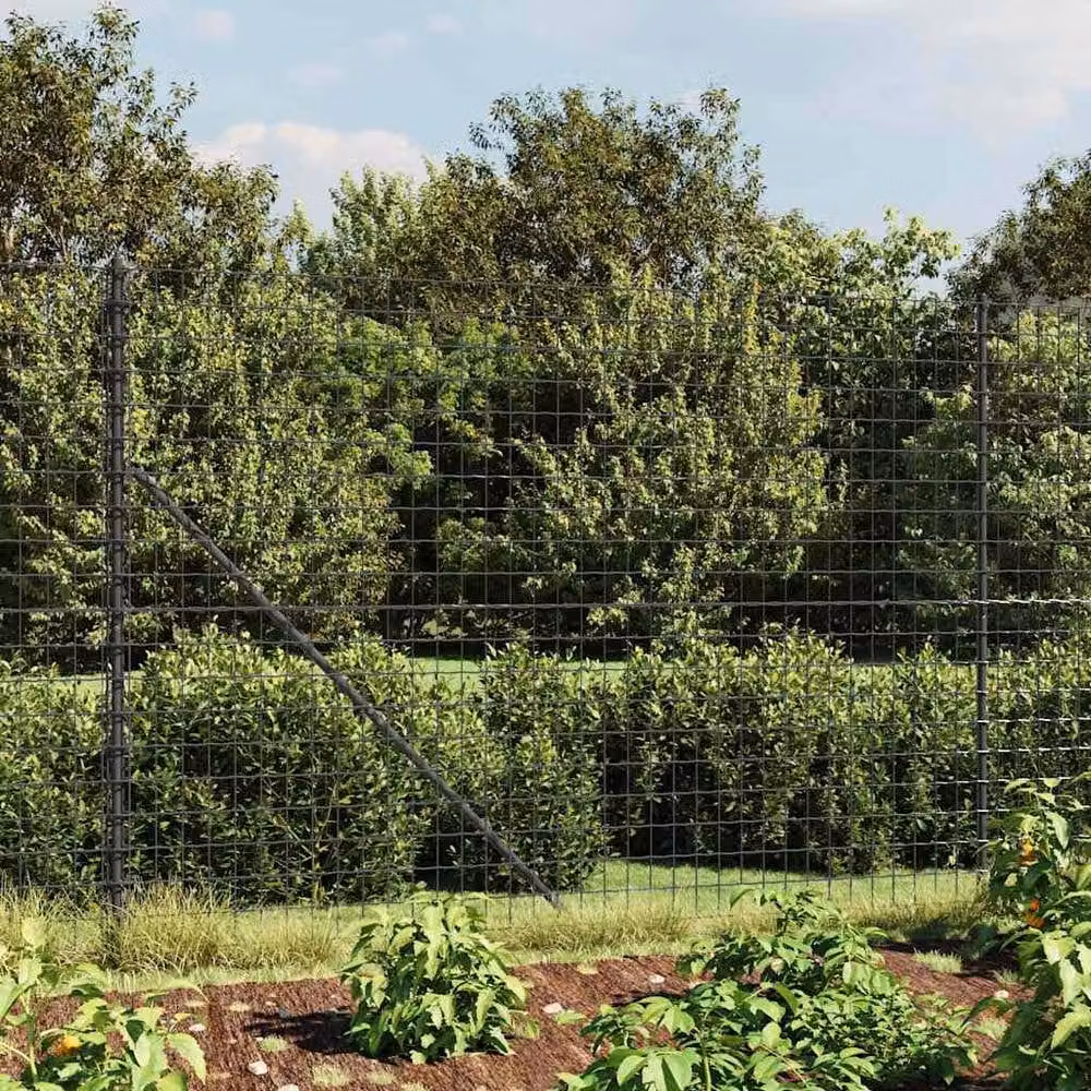 Berkfield Home Durable PVC-Coated Wire Mesh Fence with Spike Anchors, Anthracite Black, W: 10 m, H: 1.6 m – 1