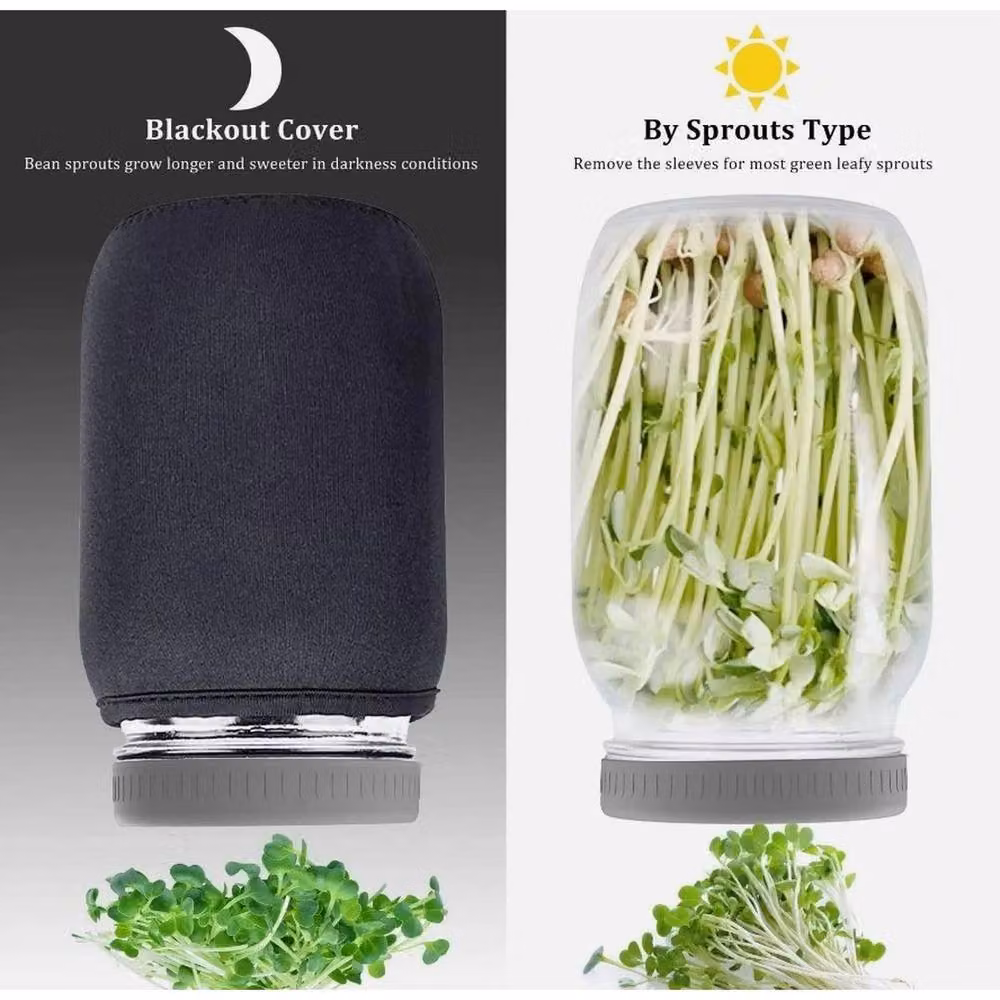 EONLION 2-Piece Seed Sprouting Jar Kit with Glass Jars, Stainless Steel Stand and Tray in Transparent – 4