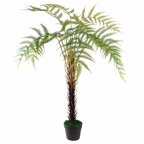 Botanik Premium Artificial Fern Grass Green and Black Tabletop Plant – 1
