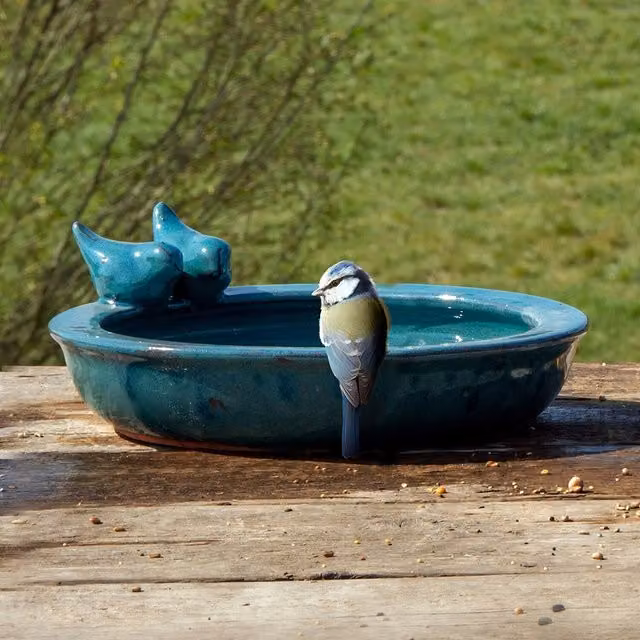 Primrose Round Glazed Ceramic Tabletop Bird Bath Bowl in Petrol Blue
