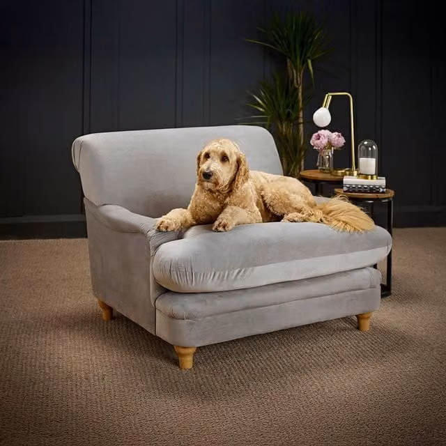 LPD Home Plumpton Grey Velvet Armchair