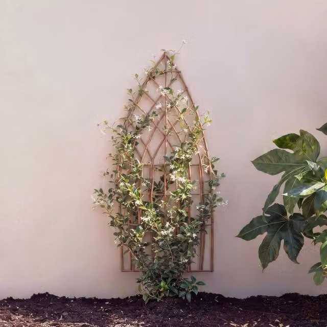 Primrose Arched Natural Willow Garden Trellis Panel, Brown, W/H: 45 x 150 cm